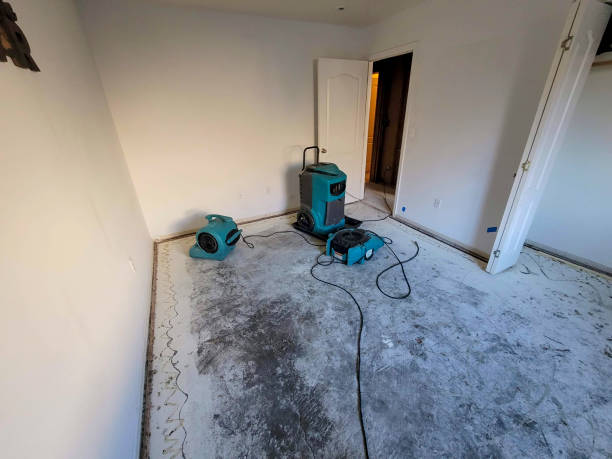 Best Ceiling water damage repair  in Ranger, TX