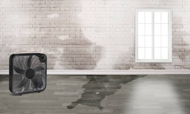 Best 24/7 water damage repair  in Ranger, TX