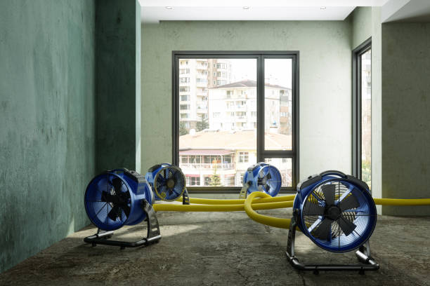 Best Basement water damage restoration  in Ranger, TX